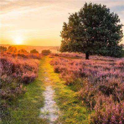 beplayapp下载登录